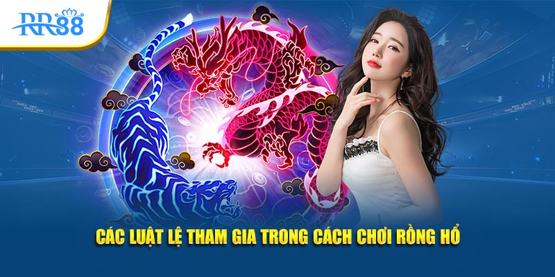 Các luật lệ tham gia trong cách chơi Rồng Hổ