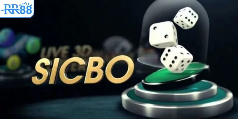 Trò chơi Sicbo online thu hút đông đảo người chơi tại RR88